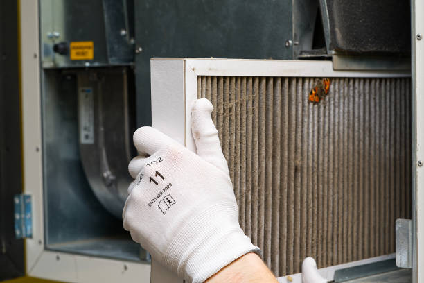 Best Affordable Air Duct Cleaning  in Cavalier, ND